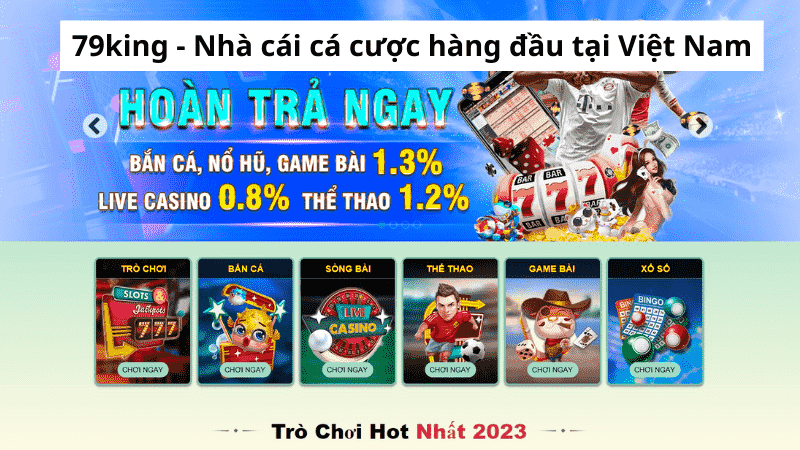 Giới Thiệu Về 79king com